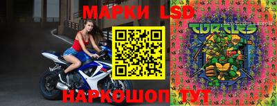 spice Краснознаменск