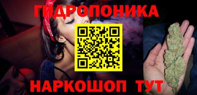 spice Краснознаменск