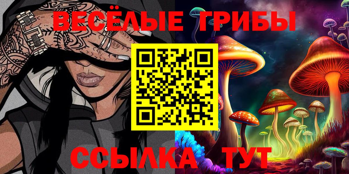Псилоцибиновые грибы GOLDEN TEACHER  Псилоцибиновые грибы GOLDEN TEACHER  Бугуруслан  Вход с VPN 