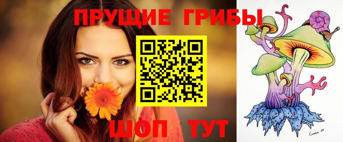 Галлюциногенные грибы Magic Shrooms Бугуруслан